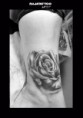 /album/foto-tattoo/rosa-caviglia-jpg1/
